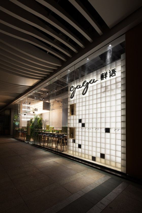 gaga���￧����