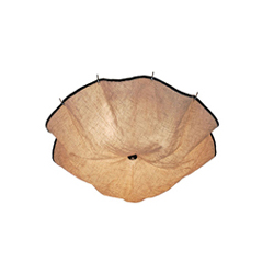 FLOS Celestia Ceiling Lamp ����ɡ���������� CG-X697