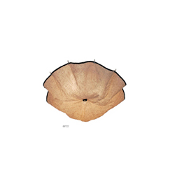 FLOS Celestia Ceiling Lamp ����ɡ����������