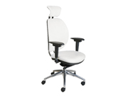 Leather Executive Chair CG-J200R3STG