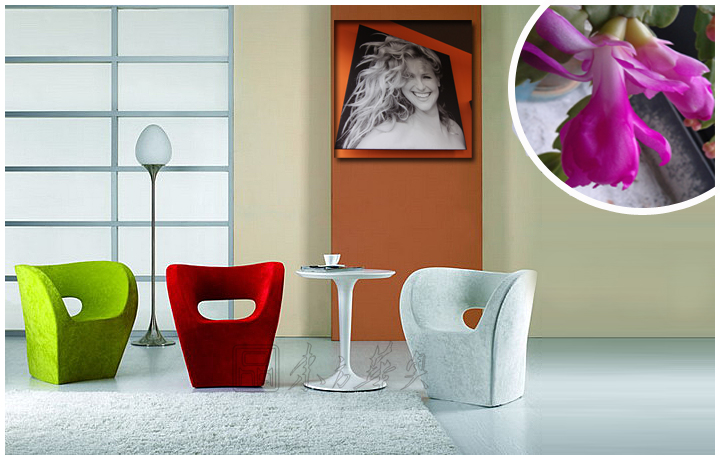 �ִ�����������|����������|�칫�Ҿ�|С����������|�����Σ����������Σ����ʦ�Σ�������Σ��ư���